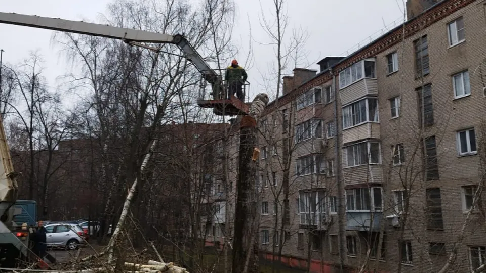 Фото: пресс-служба администрации г.о. Дзержинский