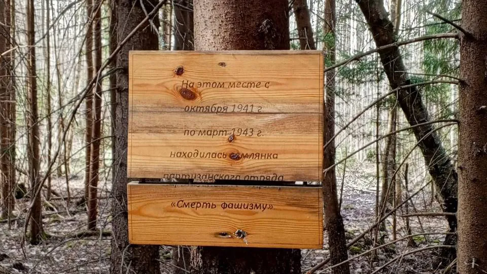 Фото: пресс-служба администрации г.о. Серпухов