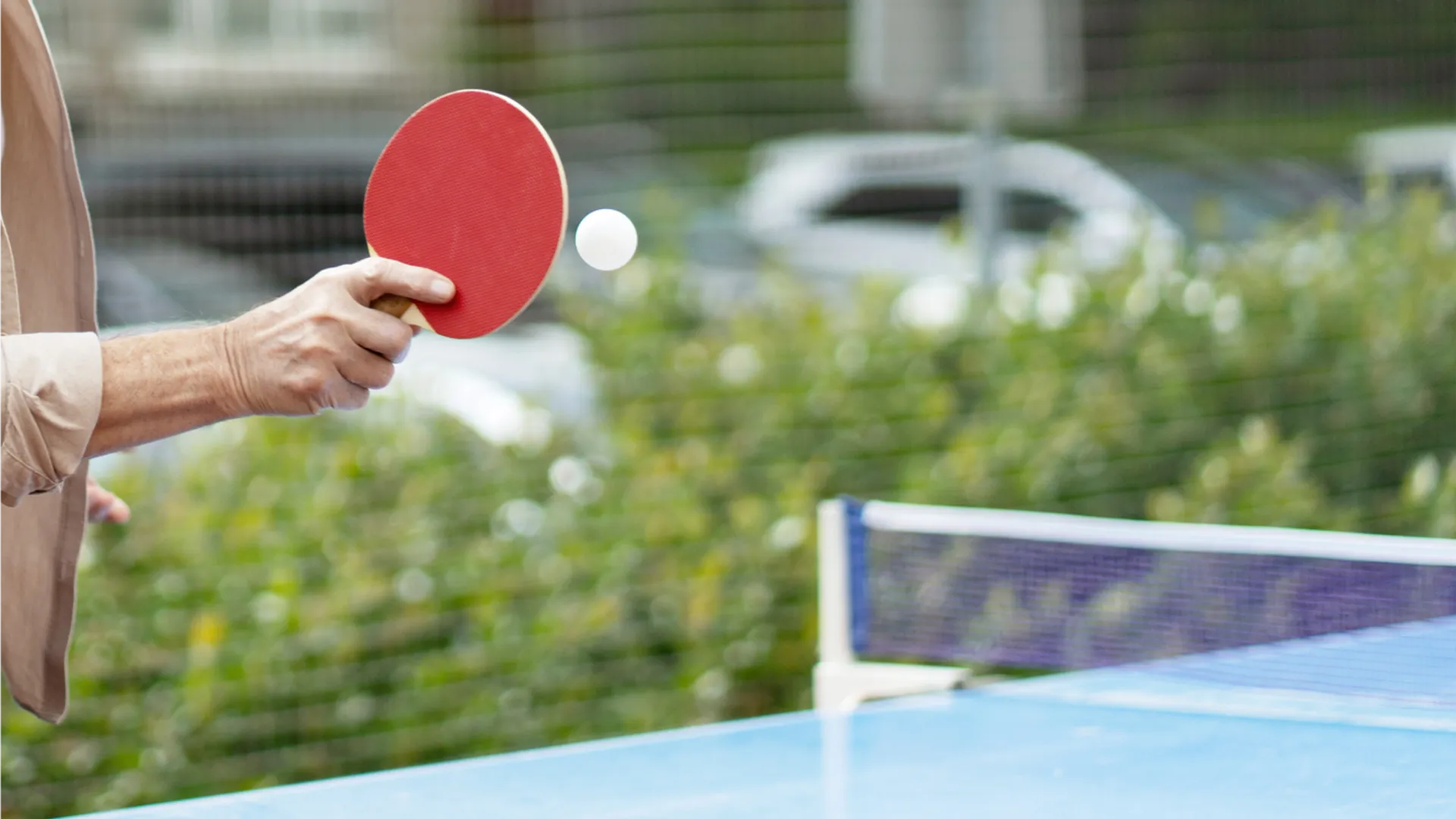 Фото: istockphoto.com/Mariia Vitkovska