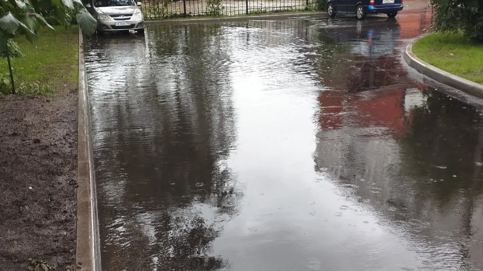 Фото: t.me/chernogolovkavk