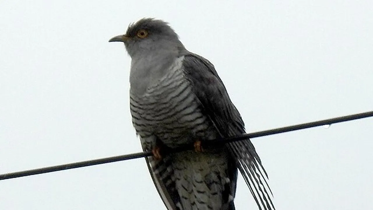 istockphoto.com/Dr. Raju Kasambe