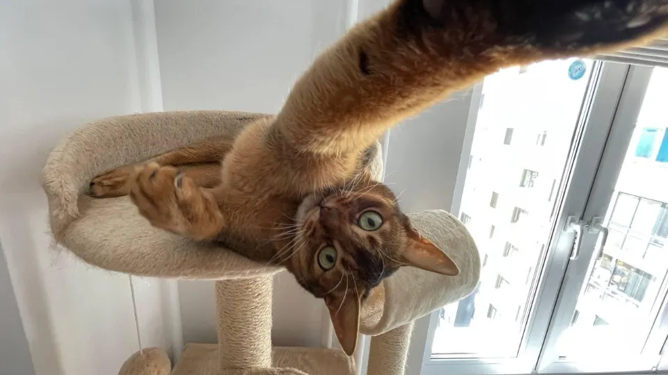 Фото: Министерство жилищной политики Московской области