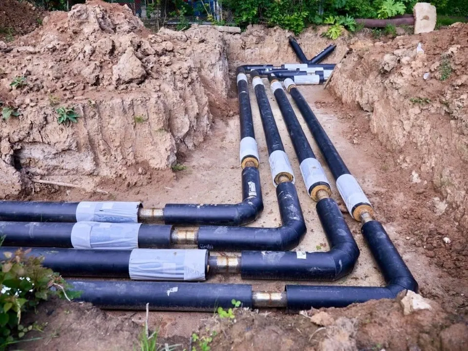 Фото: пресс-служба администрации м.о. Чехов