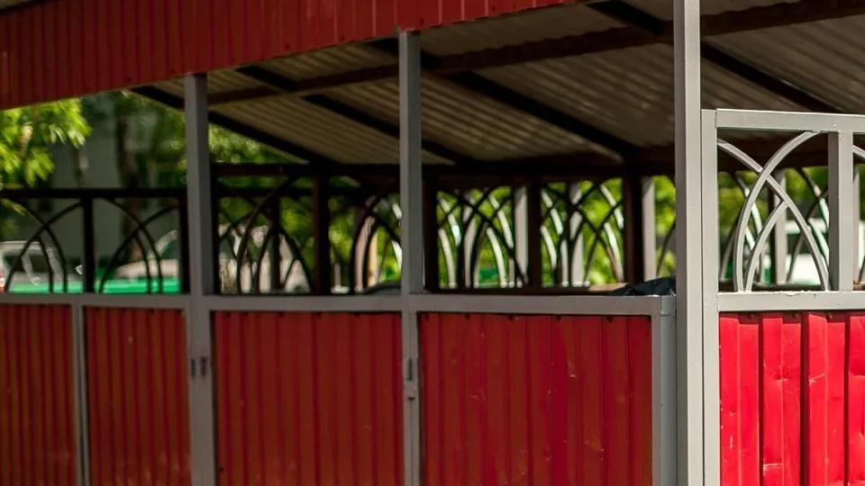 Фото: пресс-служба администрации г.о. Химки