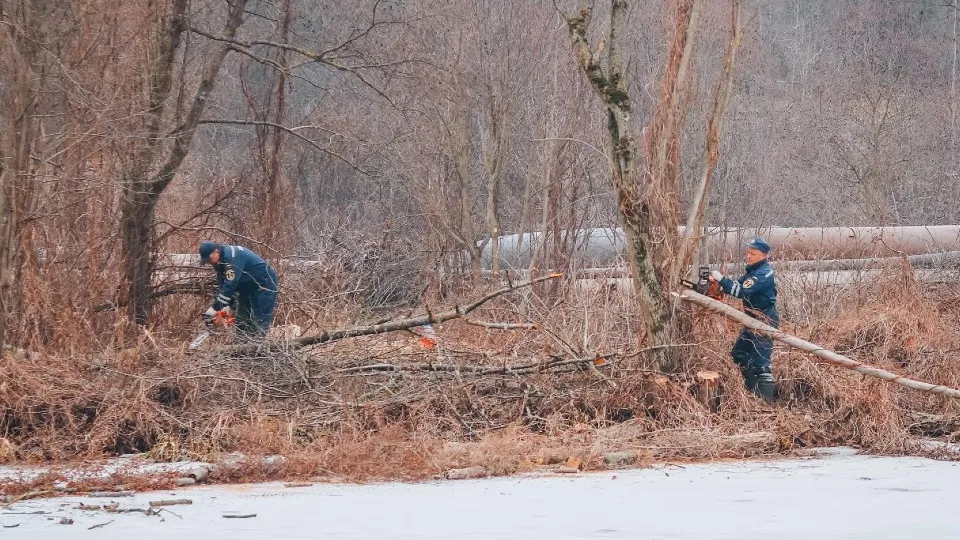 Фото: МедиаБанк Подмосковья/Данила Кирьянов