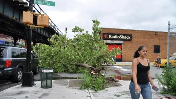 Трамп ввел режим ЧП в Северной и Южной Каролине