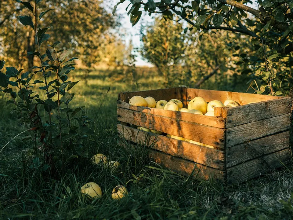 Фото: istockphoto.com