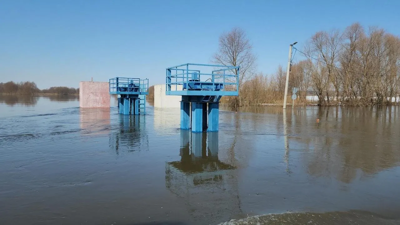 МедиаБанк Подмосковья/Анна Шолохова