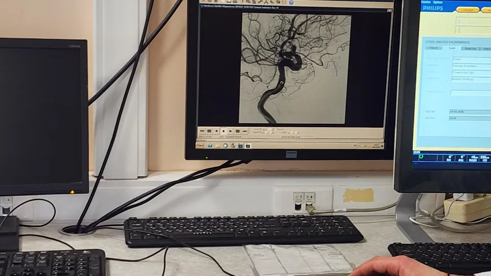 Фото: МедиаБанк Подмосковья/Кристина Ларина