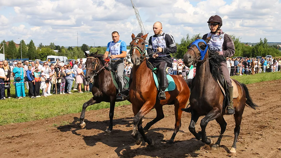 Фото: REGIONS/Евгений Мазепов