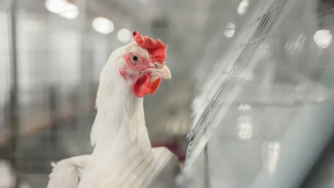 Фото: пресс-служба губернатора Московской области