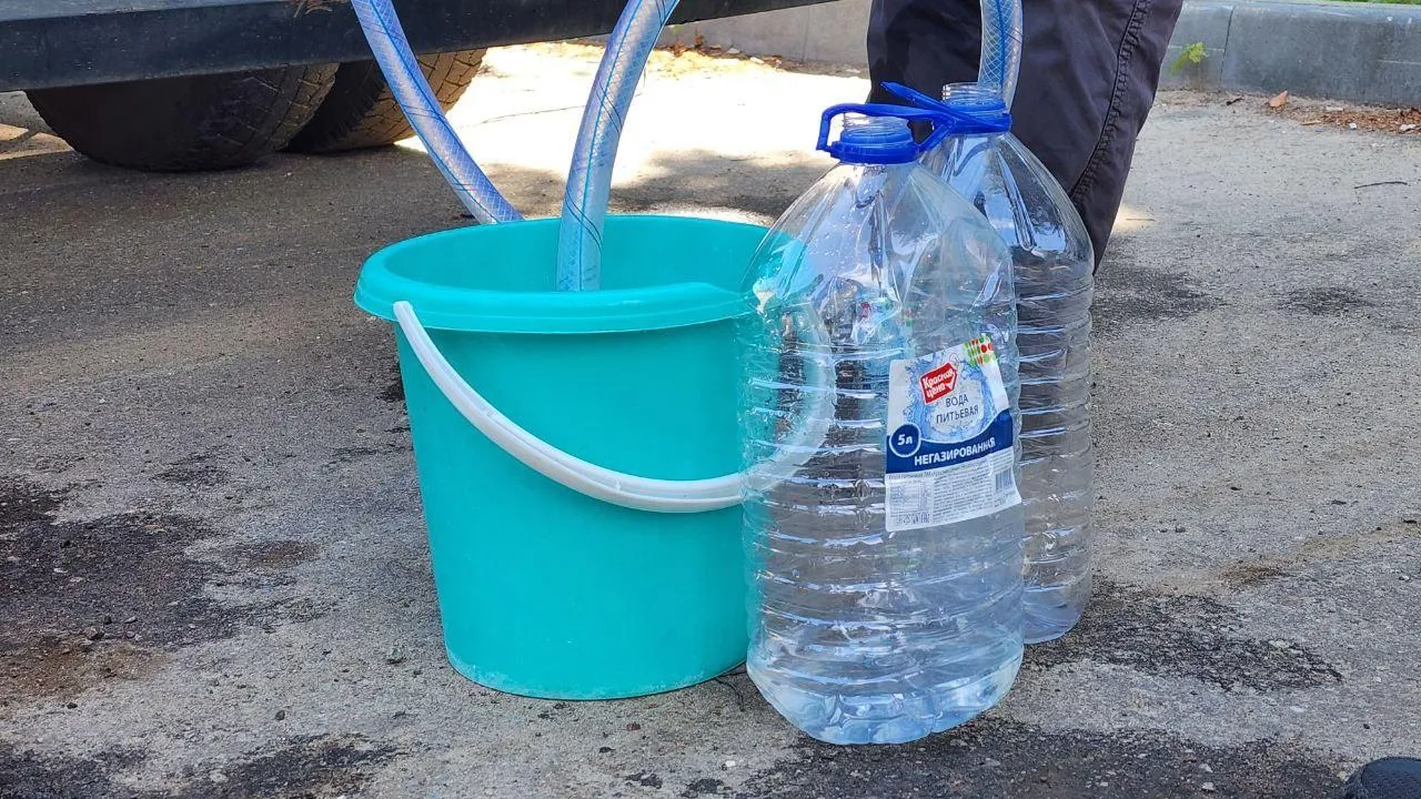 Фото: Светлана Плотникова