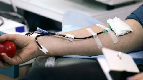 Владимир Астапкович / РИА Новости