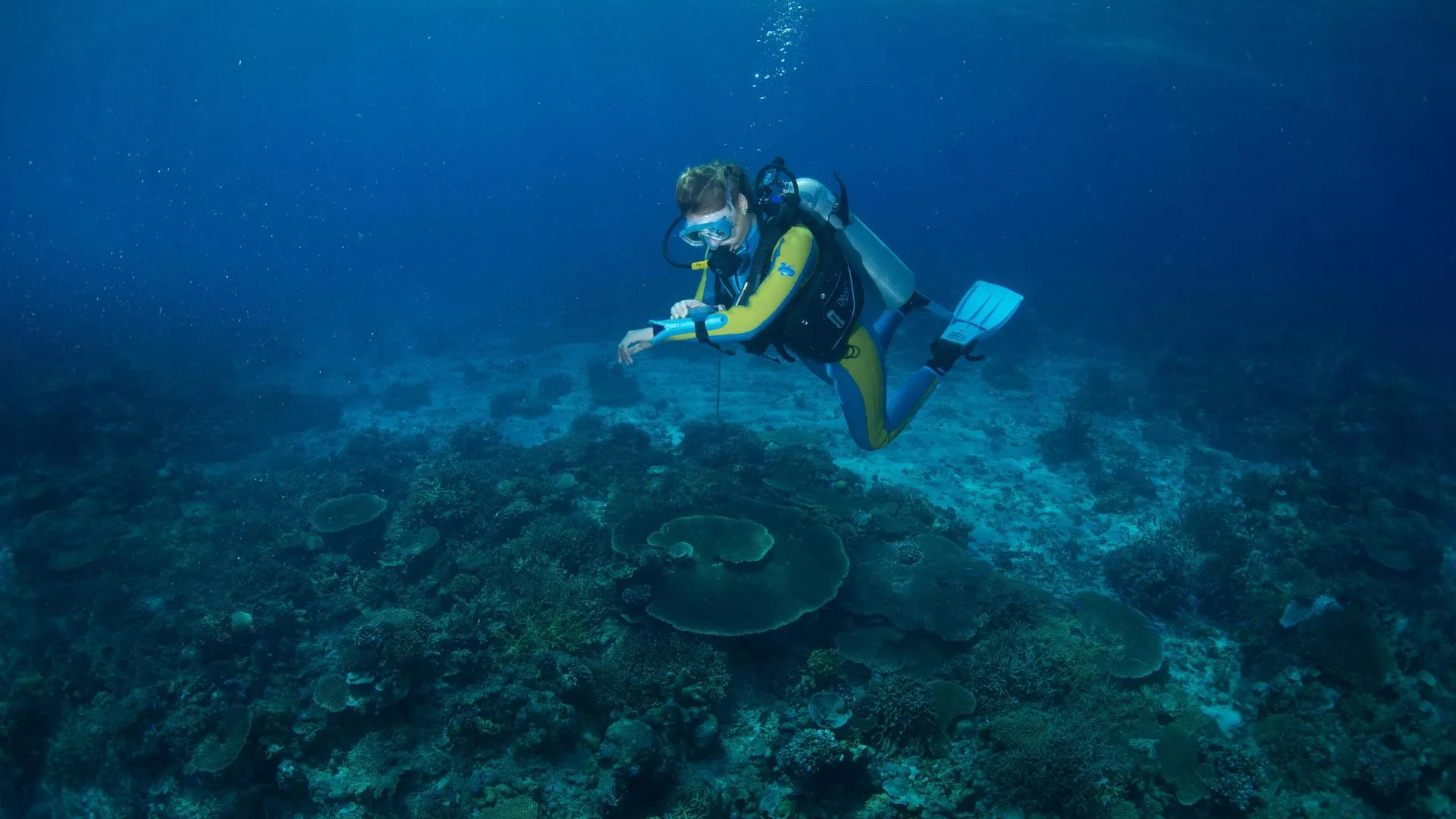 J.W.Alker/imageBROKER.com