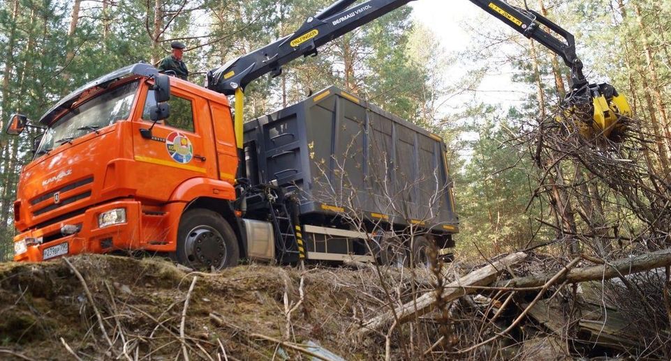 Свыше 250 свалок устранили в лесах Подмосковья с начала года