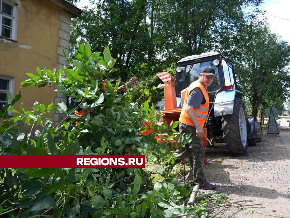 Фото: Дмитрий Зайчиков