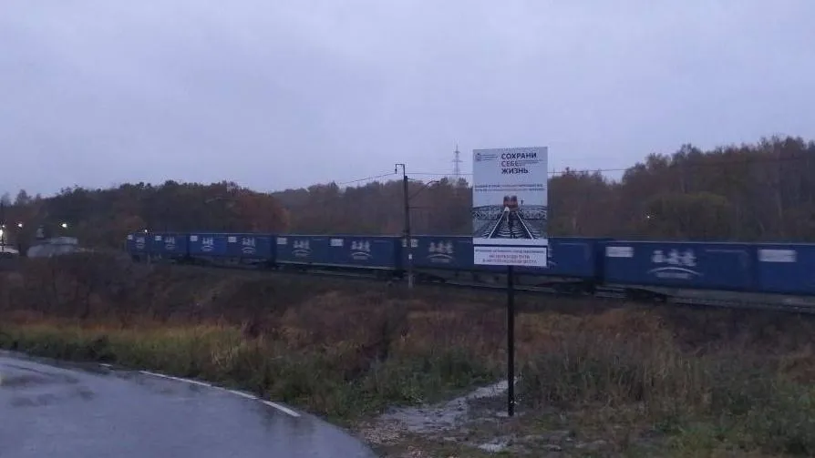 С января в Кашире провели более 30 рейдов по безопасности на железной дороге