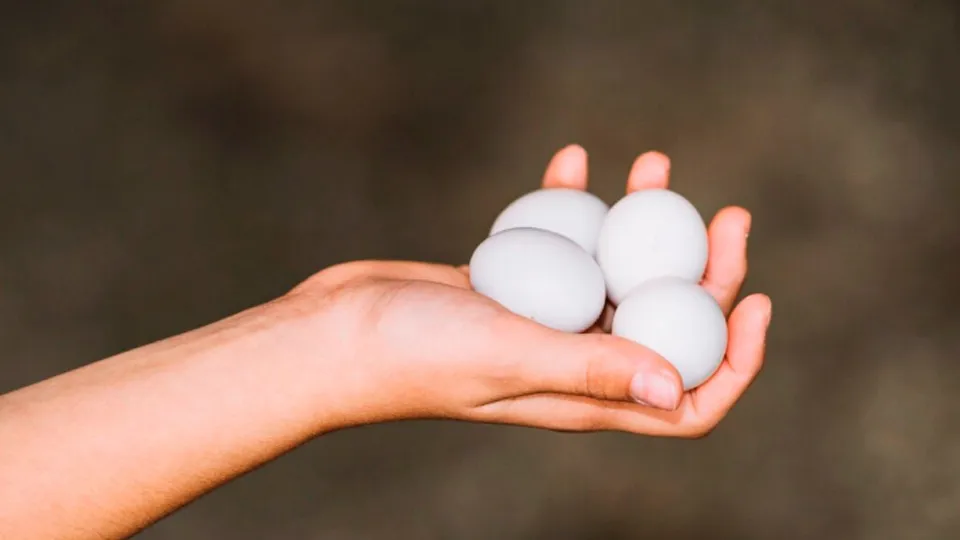 Фото: freepik.com