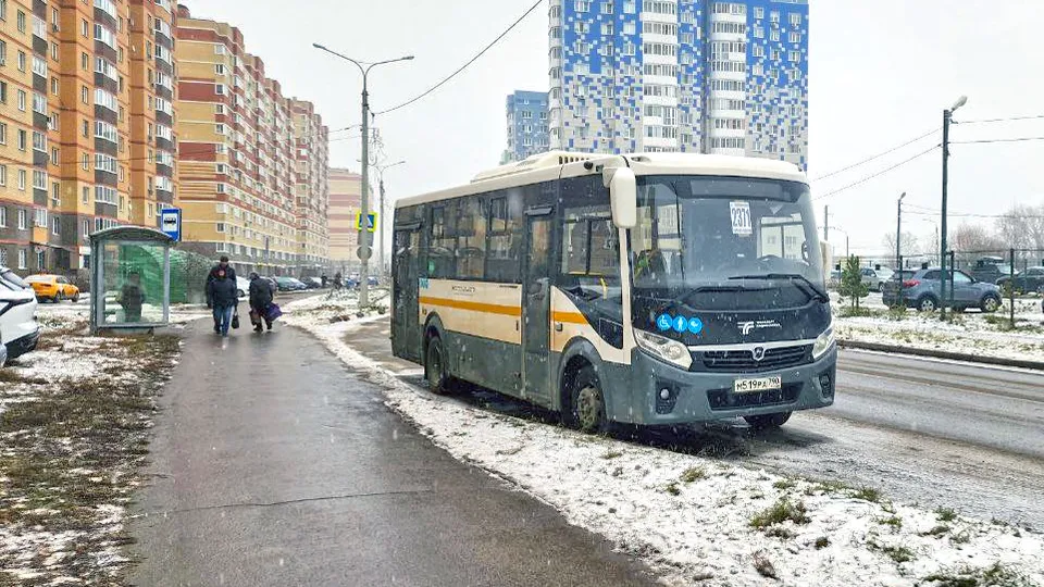 Фото: REGIONS/Дмитрий Кравцов