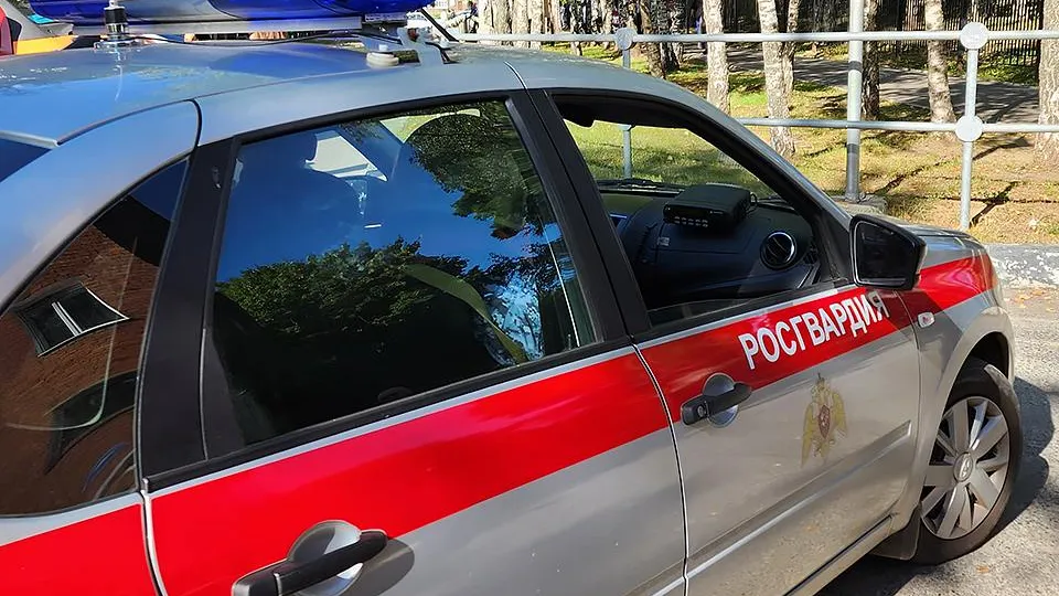 Фото: МедиаБанк Подмосковья/Андрей Семибратов