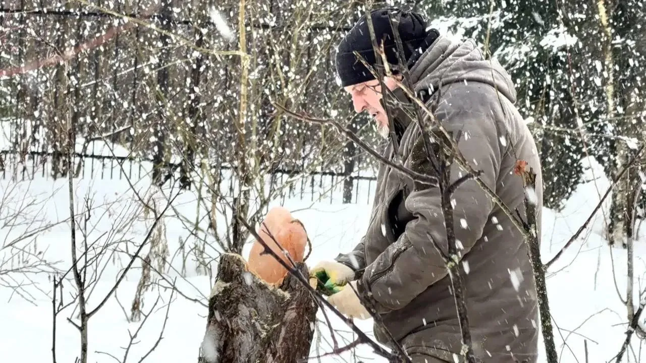 пресс-служба нацпарка "Лосиный остров"