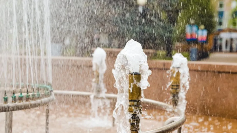 Фото: Администрация Химки г.о.