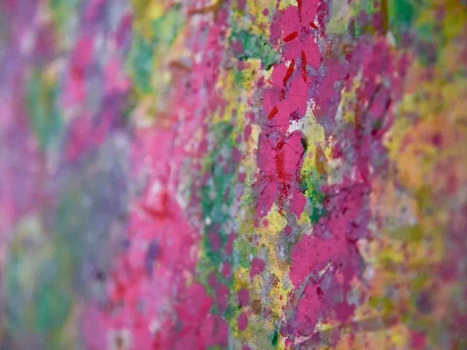 Фото: пресс-служба администрации городского округа Мытищи