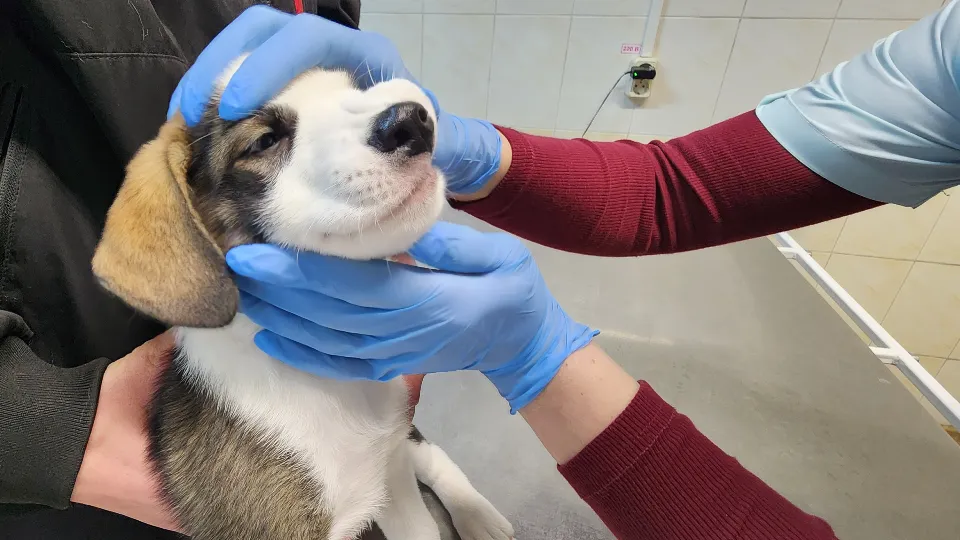 Фото: Медиабанк Подмосковья/Валентина Максимова