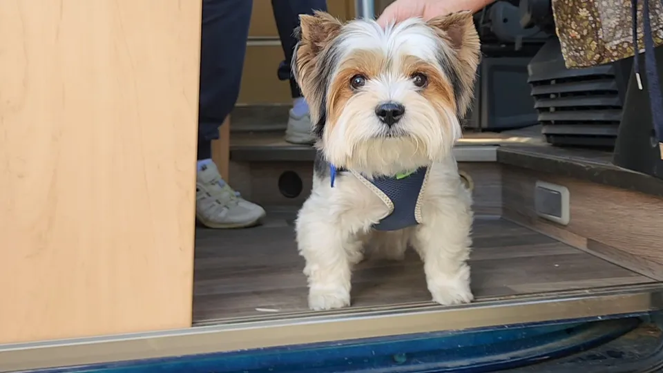 Фото: МедиаБанк Подмосковья/Андрей Семибратов