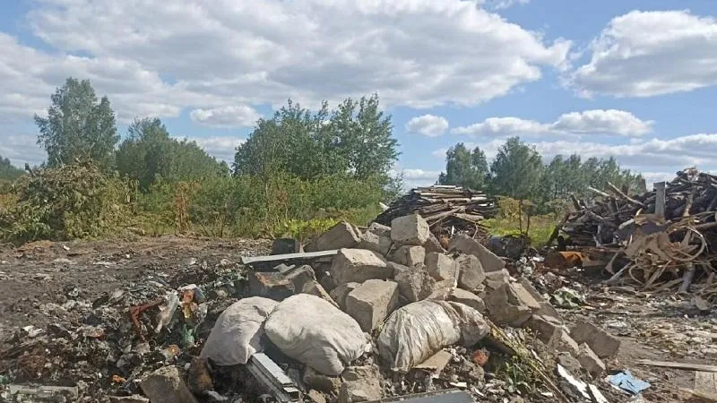 Фото: Минэкологии МО