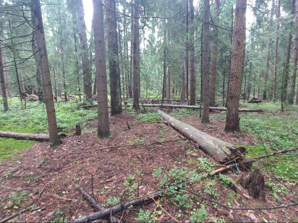 Фото: администрация м.о. Шатура