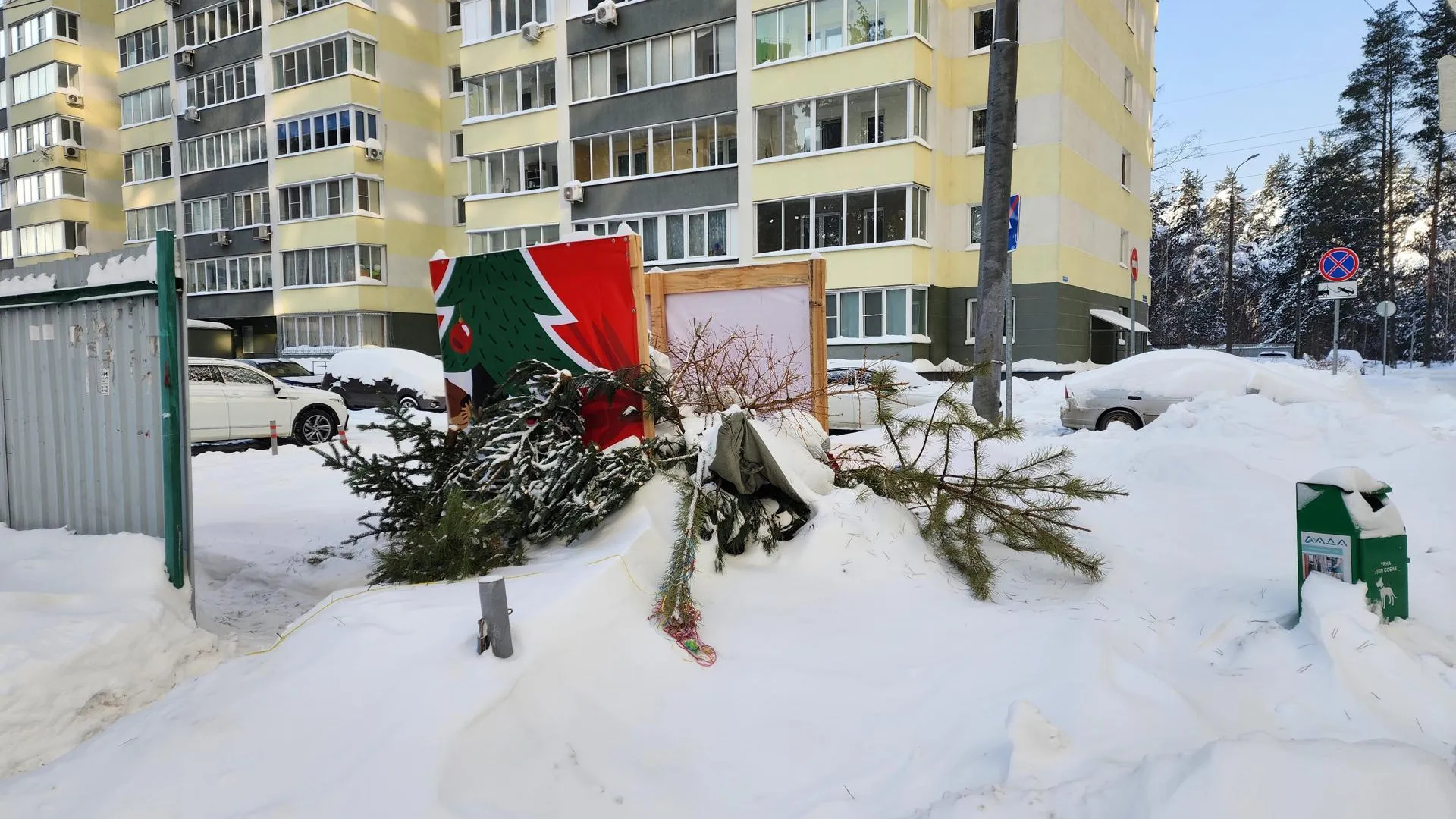 Ирина Моисеева