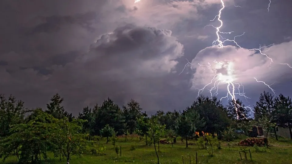 Фото: МедиаБанк Подмосковья/Алексей Окунеев