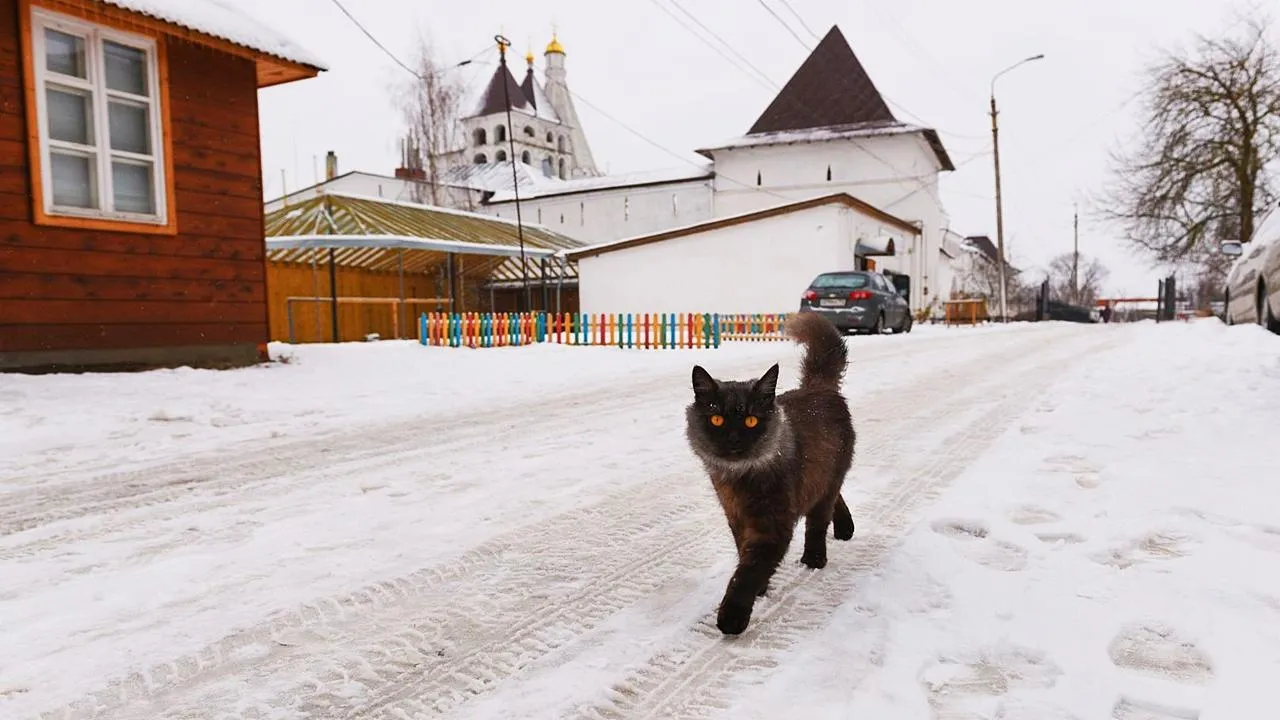 медиасток.рф