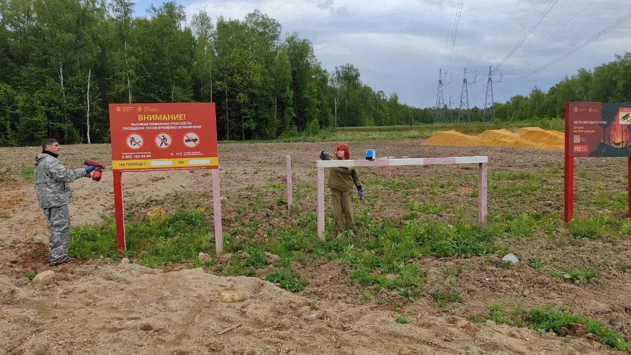 Фото: Комитет лесного хозяйства Московской области