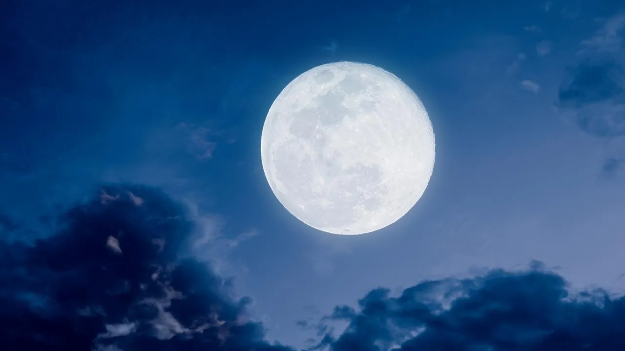 istockphoto.com/Anson_iStock