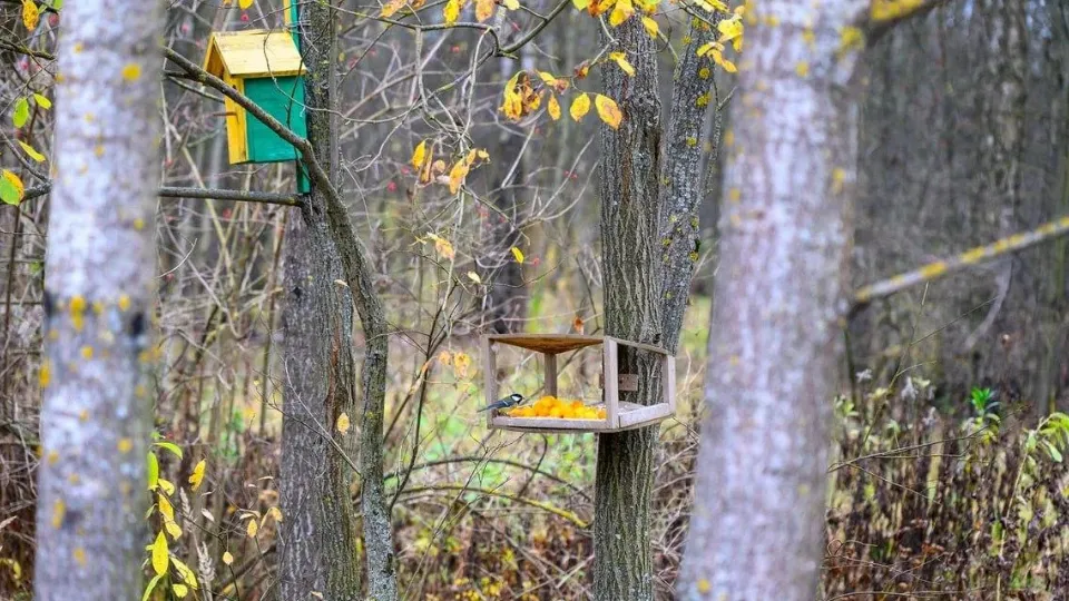 Фото: Министерство жилищной политики Московской области
