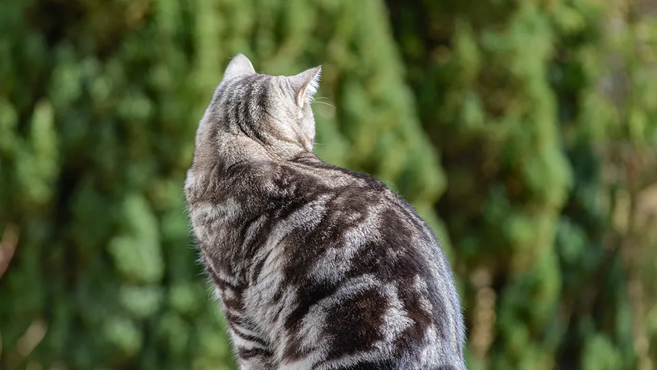 Фото: istockphoto.com