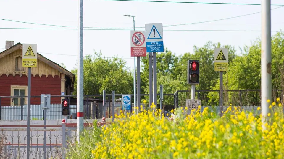 Фото: пресс-служба администрации г.о. Кашира