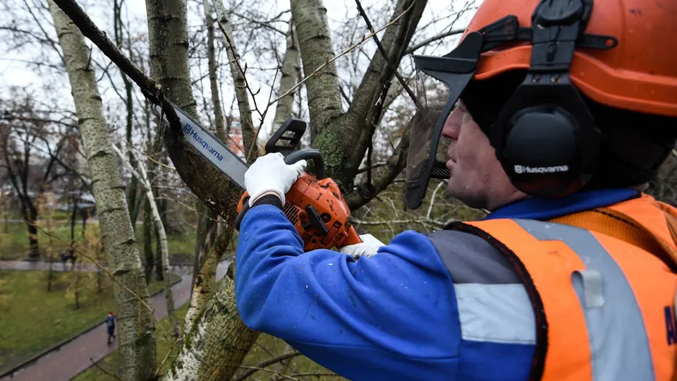 Фото: медиасток.рф
