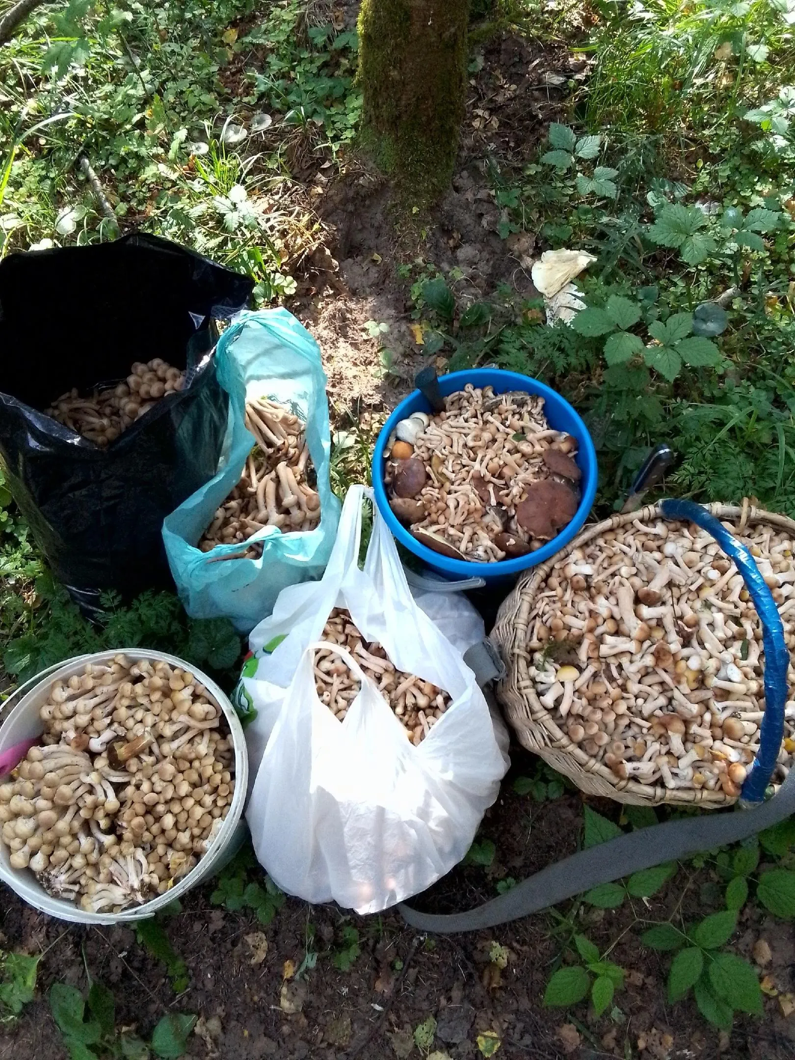 фото: соцсети