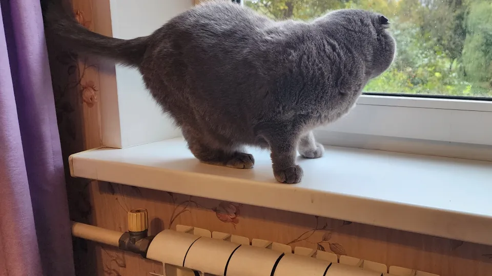 Фото: Медиабанк Подмосковья/Валентина Максимова