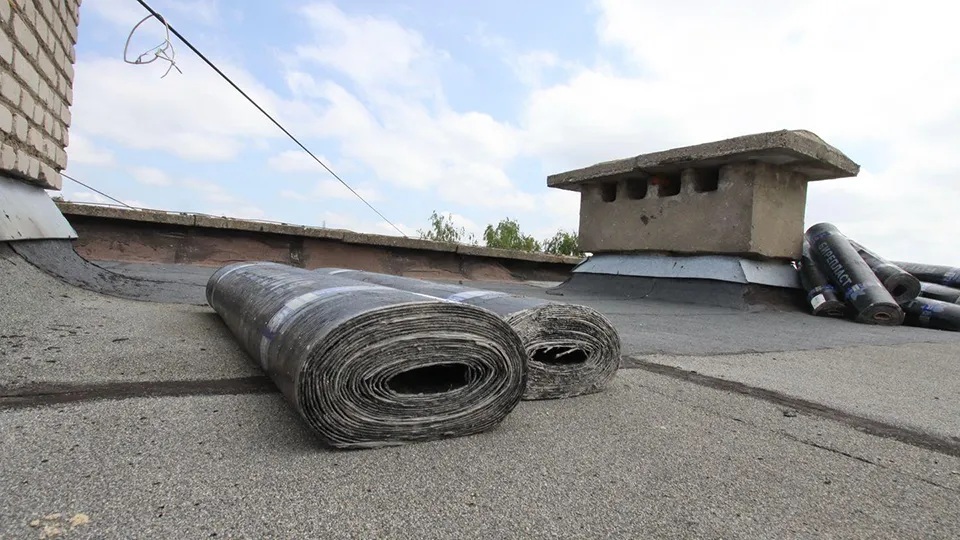 Фото: Медиаархив Подмосковья