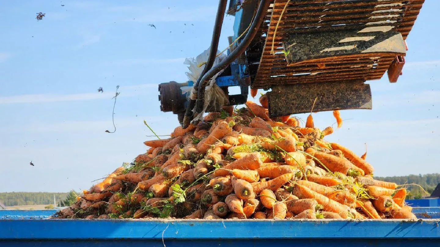 Яна Шаливская