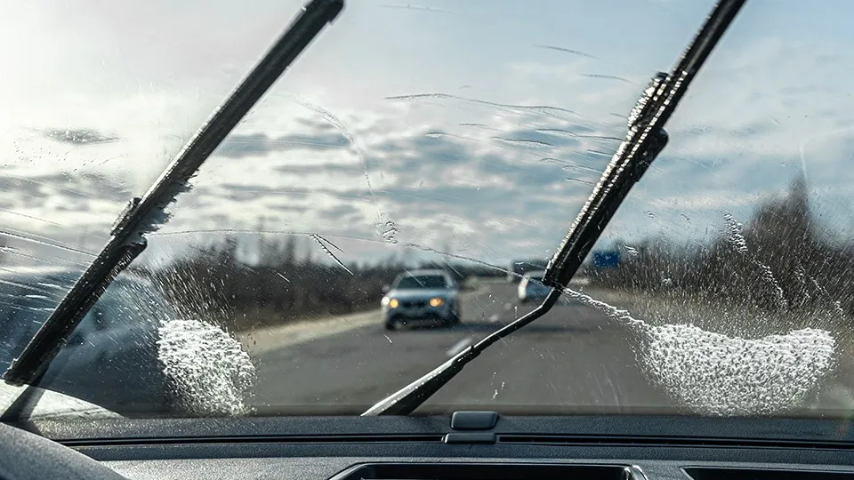 Фото: freepik.com