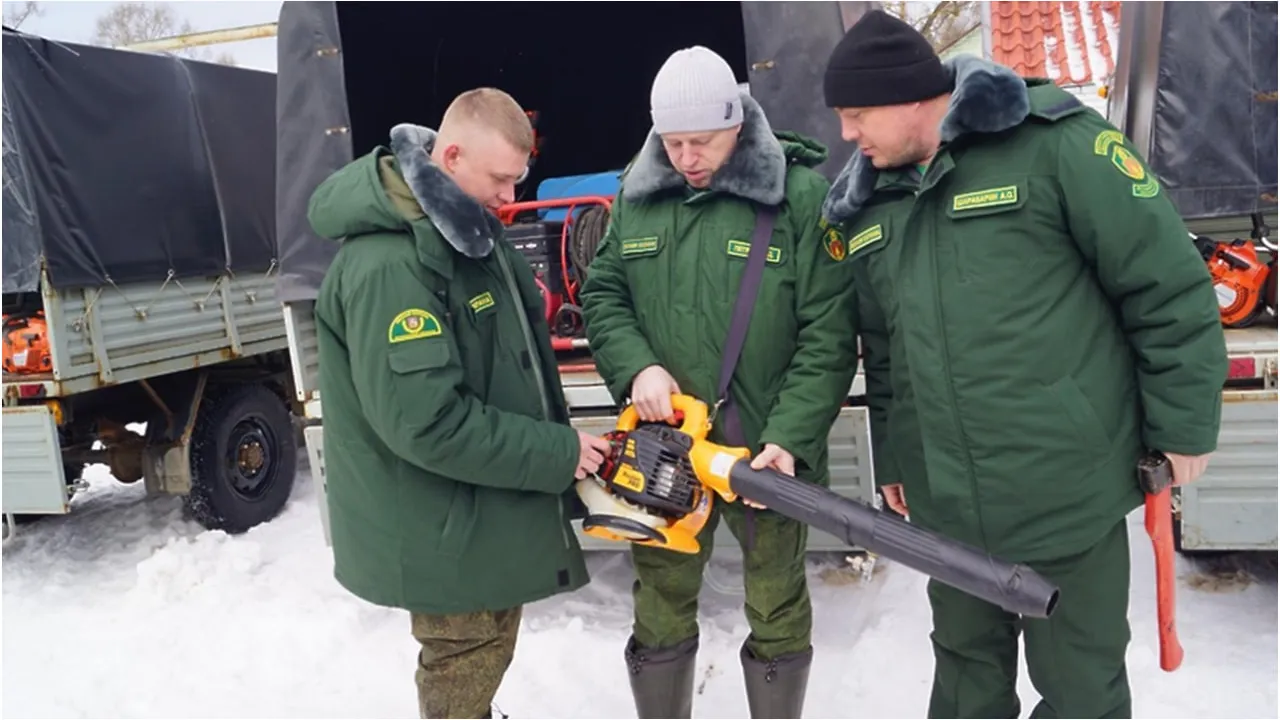 © Пресс-служба Комитета лесного хозяйства Московской области
