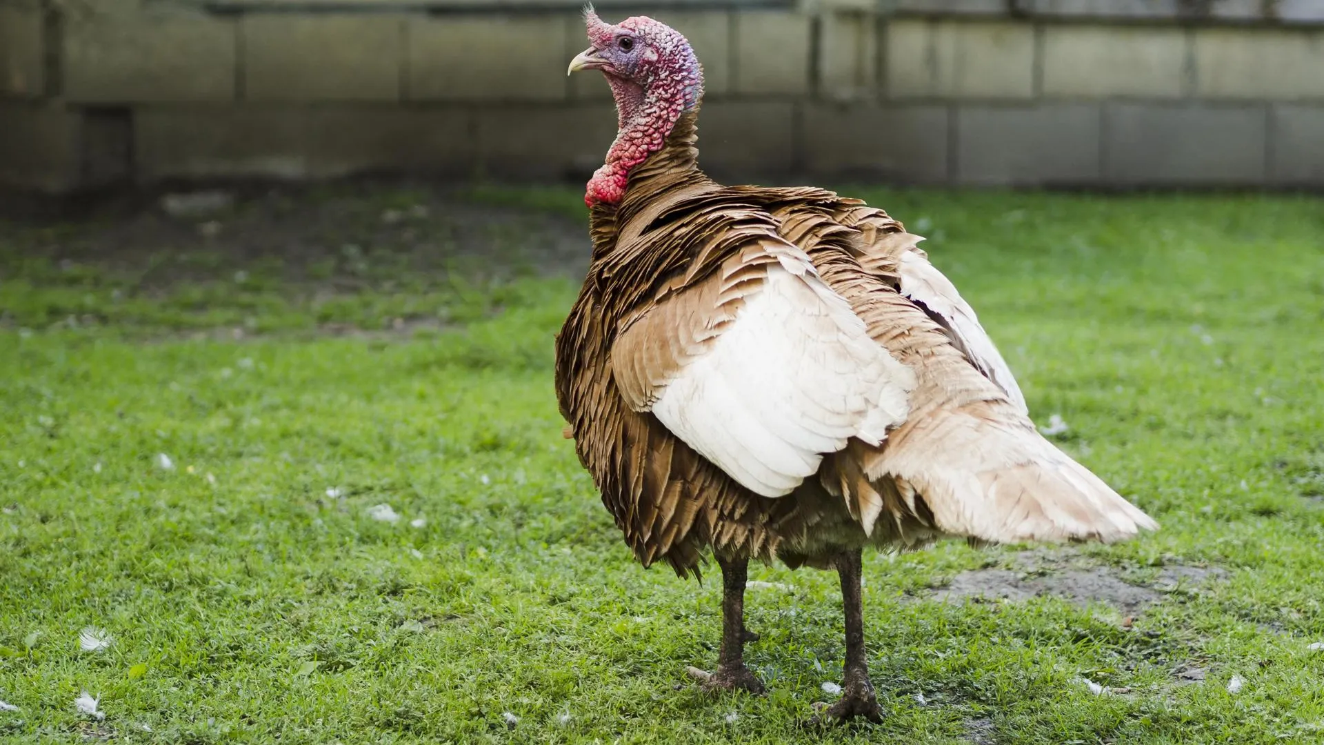 Изображение от Freepik