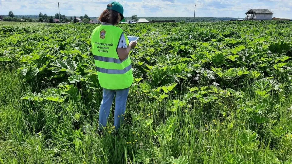 Фото: t.me/agochrodin