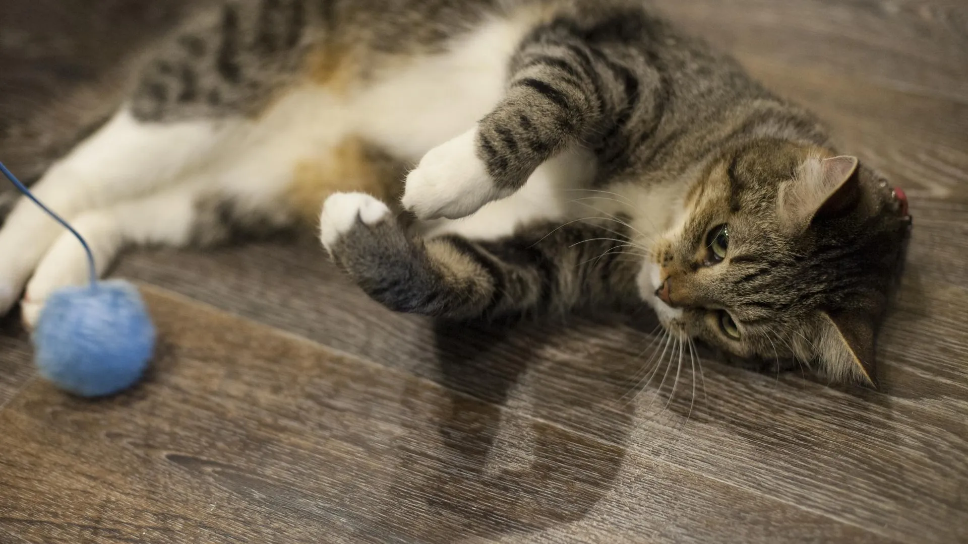 медиасток.рф