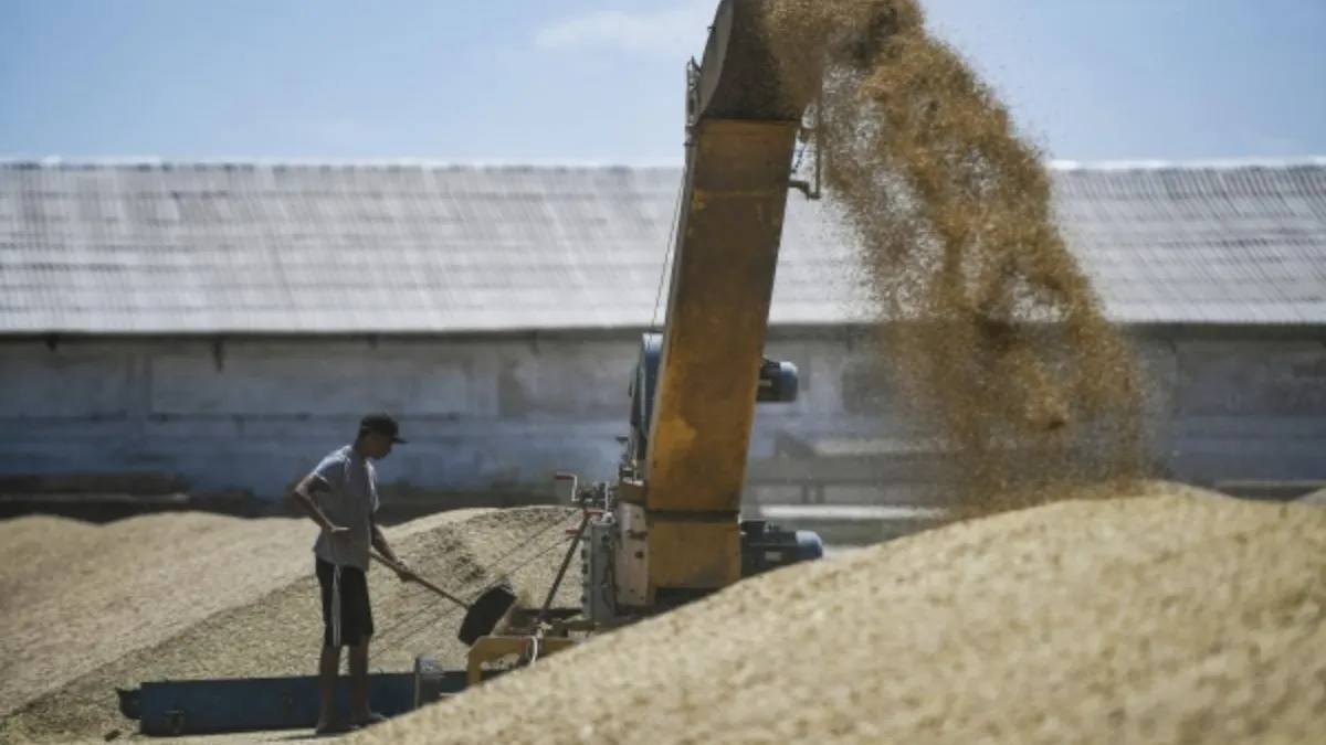 В МИД РФ рассказали о разработке новых путей вывоза зерна